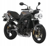 2009 Triumph Street Triple R photo